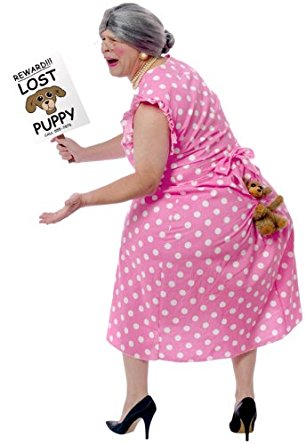 FunWorld Womens Lost Puppy Humorous Costume