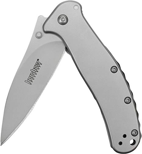 Kershaw Zing Pocket Knife (1730SS); 3" High-Performance 8Cr13MoV Stainless Steel Blade, 410 Stainless Steel Handle, Bead-Blasted Finish, SpeedSafe Assisted Opening, Reversible Pocketclip; 3.3 oz