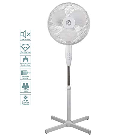 Ecolighters 16" Oscillating Pedestal Stand Fan - Low Noise Copper Motor, Oscillation, Safe for babies, Powerful - Perfect for Home or Office