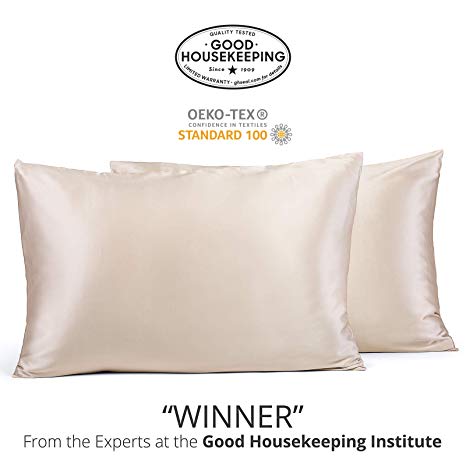 Fishers Finery 25mm 100% Pure Mulberry Silk Pillowcase 2 Pack Good Housekeeping Winner (Taupe, Queen 2 Pack)