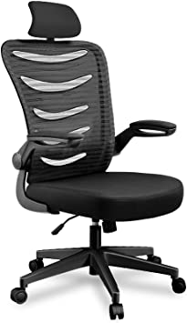 Ergonomic Office Desk Computer Chair Mesh Computer Chair with Flip Up Arms and Adjustable Headrest Lumbar Support Black