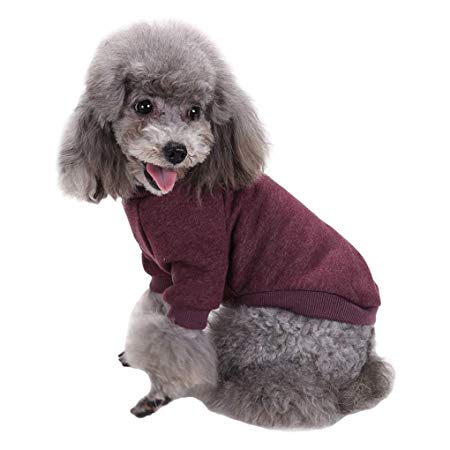 Fashion Focus On Pet Dog Clothes Knitwear Dog Sweater Soft Thickening Warm Pup Dogs Shirt Winter Puppy Sweater for Dogs