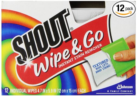 Shout Wipes, 12-Count (Pack of 12)
