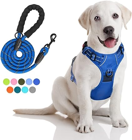 PoyPet No Pull Dog Harness and 5 Feet Leash Set, Release on Neck Reflective Adjustable Pet Vest, Front & Back 2 D-Ring and Soft Padded Pet Harness with Handle for Small to Large Dogs(Royal Blue,M)