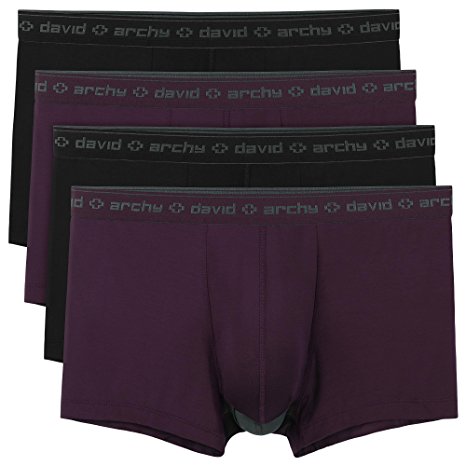 David Archy Men's 4 Pack Underwear Micro Modal Separate Pouches Fly Trunks