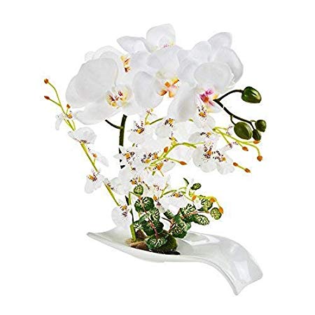 Imiee Artificial Phaleanopsis Arrangement with Vase Decorative Orchid Flower Bonsai (White-2)