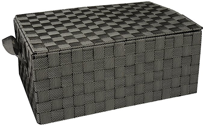 Honey-Can-Do OFC-03703 Double Woven File Box with Lid and Handles, 14 by 17.75 by 10.75-Inch, Salt/Pepper