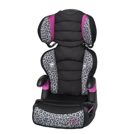 Evenflo Big Kid High Back Booster Car Seat, Phoebe