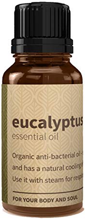Rouh Essentials Eucalyptus Oil, Pure and Organic, 15ml