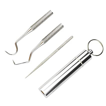 DOITOOL Dental Tools, Stainless Steel Teeth Cleaning Tools with Holder Case, Reusable Teeth Pick, Travel Toothpick Dental Tarter Scraper, Tooth Stains Remover, Silver