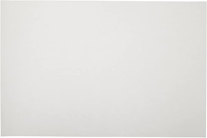 Sax Sulphite Drawing Paper, 80 lb, 12 x 18 Inches, Extra-White, Pack of 500-053946