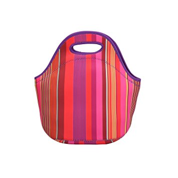 N2N Insulated Waterproof Neoprene Lunch Tote Bag With A Neoprene Can Coolie for Adults, Kids, Girls, And Women (Color Stripe)