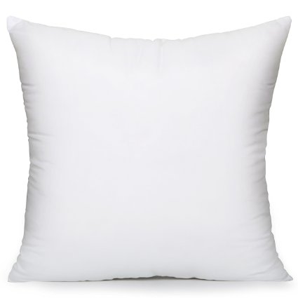 Acanva Hypo-allergenic Pillow Insert Form Cushion Sham Stuffer, Square, 18x18" Inches