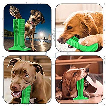 Viet's Brite Bite Brushing Stick - Pet Dog Toothbrush Stick Chew Toys Doggy Oral Care Tooth Cleaning Interactive Training