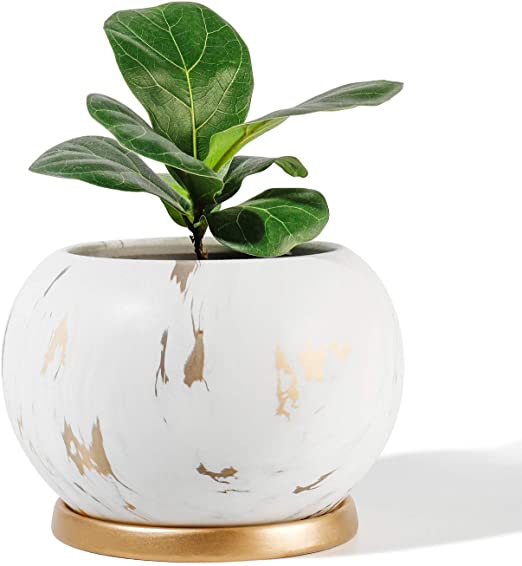 POTEY Planter Ceramic Plant Flower Pot - 5" Large Indoor Glazed Container Bonsai with Drainage Hole Saucer - Large Space, White&Golden