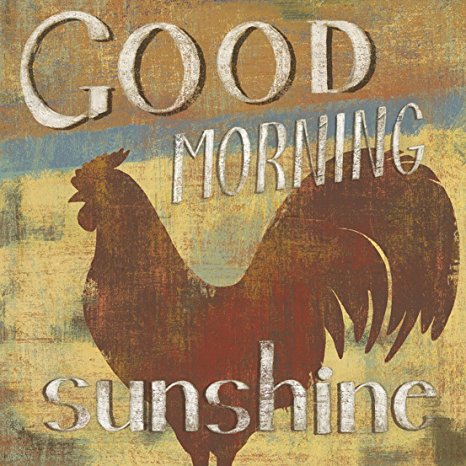 Barnyard Designs Good Morning Sunshine' Rooster Retro Vintage Tin Bar Sign Country Home Decor 11" x 11"