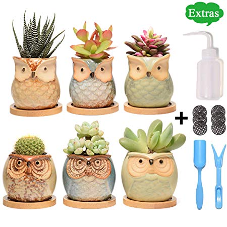 Succulent Planter, Cute Ceramic Owl Planters with Bamboo Saucers & Gardening Tools, 2.5 Inch Small Flower Pot, Set of 6 Pots for Plants