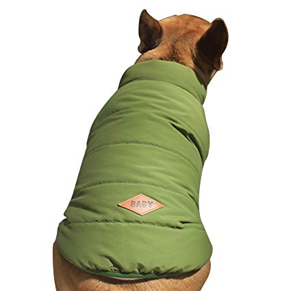 Rantow Pet Dog Cosy Fleece Lined Jacket Coat Puppy Winter Buttons Warm Vest Suit Clothes for Chihuahua Corgi Bulldog (M, Green)