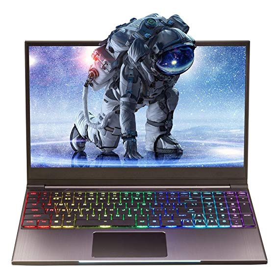 Eluktronics Mech-15 G2 Pro-X Gaming Laptop, 15.6" Full HD IPS w/ 144Hz Refresh Rate Display, Intel 6-Core i7-8750H, GeForce GTX 1060 Graphics, 16GB RAM, 480GB NVMe SSD, Mechanical RGB Keyboard