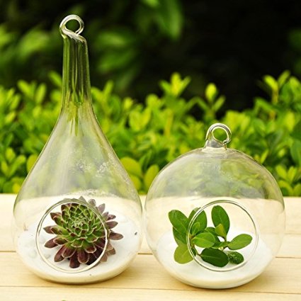 Mkono 2 Pack Hanging Plant Terrarium Glass Planter, Globe and Teardrop