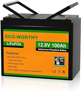 ECO-WORTHY LiFePO4 Batteria Litio 12v 100Ah con Protezione BMS a Bassa Temperatura e 4000  cicli, Batteria da 1280Wh per Camper, Barca, Casa, Kit di Pannelli Solari, Campeggio