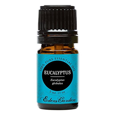 Eucalyptus Globulus 100% Pure Therapeutic Grade Essential Oil by Edens Garden- 5 ml