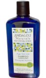 Andalou Naturals Age Defying Shampoo with Argan Stem Cells 115 Ounce