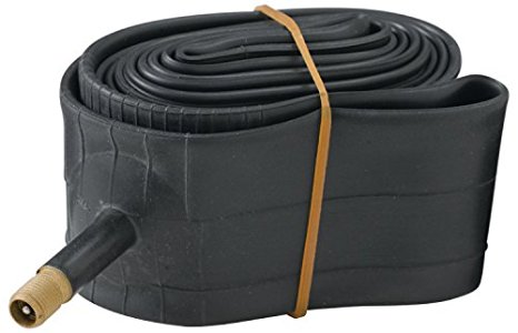 Diamondback 16x1.75/2.125 Thorn Resistant Schrader Valve Bicycle Tube, Black