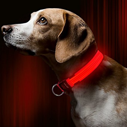 BSeen LED Dog Collar, USB Rechargeable Light Up Safety Pet Collar with 3 Glowing Modes & 3 Reflective Strings, Adjustable Soft Nylon Webbing, Great for Small Medium Large Dogs