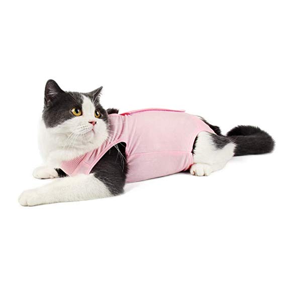 Due Felice Cat Professional Surgical Recovery Suit for Abdominal Wounds Skin Diseases, After Surgery Wear, E-Collar Alternative for Cats Dogs, Home Indoor Pets Clothing