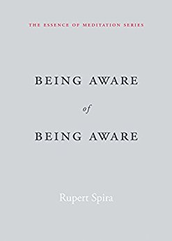 Being Aware of Being Aware (The Essence of Meditation Series)