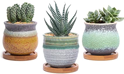 T4U Ceramic Succulent Cactus Planter Plant Pot with Bamboo Tray Pack of 3 - Summer Trio Green, Small Home and Office Desktop Windowsill Bonsai Decoration Gift for Wedding Birthday Christmas Party