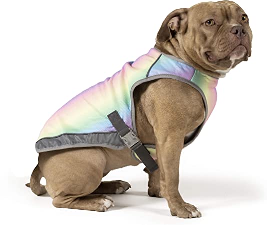 Canada Pooch | Chill Seeker Dog Cooling Vest | Water Evaporative and Adjustable