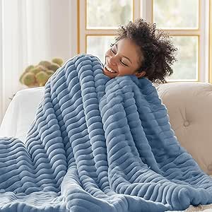 Bedsure Twin Blanket for Couch - Super Soft Cozy Blankets for Women, Cute Small Blanket for Girls, Ashley Blue 60x80 Inches