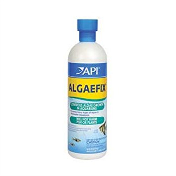 API Algaefix Algae Control