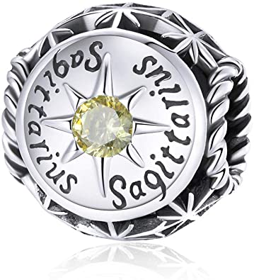 BAMOER Zodiac Star Sign 925 Sterling Silver Birthstone Charm for Charm Bracelets 12 Constellations Charms Bead Fits Pandora Bracelet and Necklace