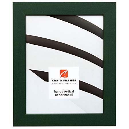 Craig Frames 26026 24 by 32-Inch Picture Frame, Smooth Wrap Finsh, 1.25-Inch Wide, Green