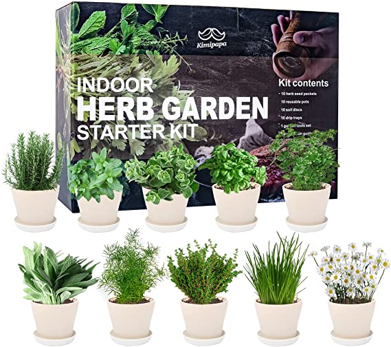 Indoor Herb Garden Seed Starter Kit with Tool Set, Plant Pots, Soil Discs and Growing Guide, 42 Pieces DIY Herb Seeds Kit for Kitchen, Window, and Office
