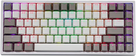 EPOMAKER EP84 84-Key RGB Hotswap Wired Mechanical Gaming Keyboard with PBT Dye-subbed Keycaps for Mac/Win/Gamers (Gateron Blue Switch, Grey White)