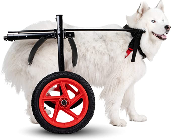 Best Friend Mobility PRO Dog Wheelchair for Back Legs Dog Cart is Easy Adjustable -Choose Size for Your Dog Ranging from Medium to XL -Dog Hind Leg Wheels to Assist in Healing & Give Mobility