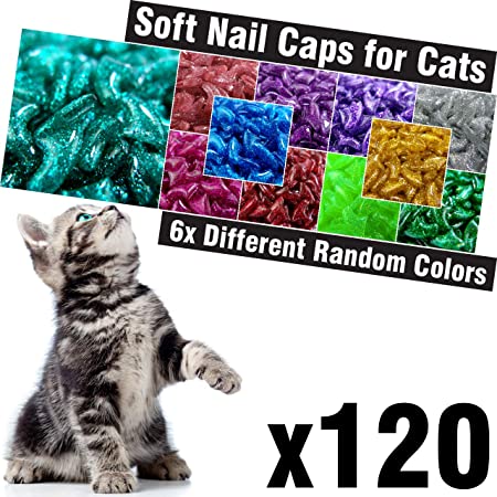 zetpo 120 pcs Glitter Soft Cat Claw Caps for Cats Nail Claws 6X Different Random Colors   6X Adhesive Glue   6X Applicator, Pet Cap Tips Cover Paws Grooming Soft Covers