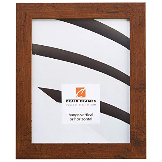 Craig Frames FM26WA1620C 1.26-Inch Wide Picture/Poster Frame in Smooth Grain Finish, 16 by 20-Inch, Dark Brown