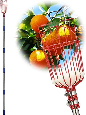 Fruit Picker Pole with Basket Long Handle, 5.5FT Adjustable Fruit Catcher Tool for Apple Mango Pear Orange Avocado Lemon Citrus Tree Picker