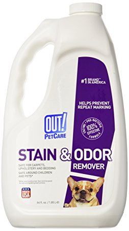 OUT! PetCare Dog Stain and Odor Remover Size: 64-Ounce