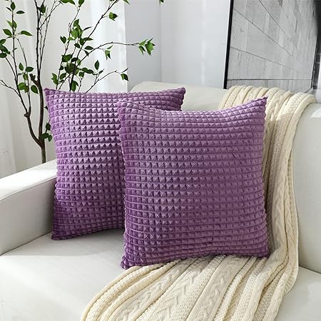 Ning store Throw Pillow Covers, Set of 2 Decorative Pillow Covers Velvet Corduroy Square, Throw Pillow Cases Throw Cushion Covers Invisible Zippered (16"x16" - Set of 2, Violet)