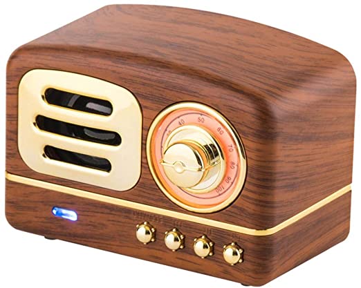 Eachbid Vintage Wireless Speaker 4.1 Chip Retro Radio Support FM Radio/TF Card/Micro USB Port Portable Songs Player HiFi Sound Antique Decor for Music Lover Pear Blossom