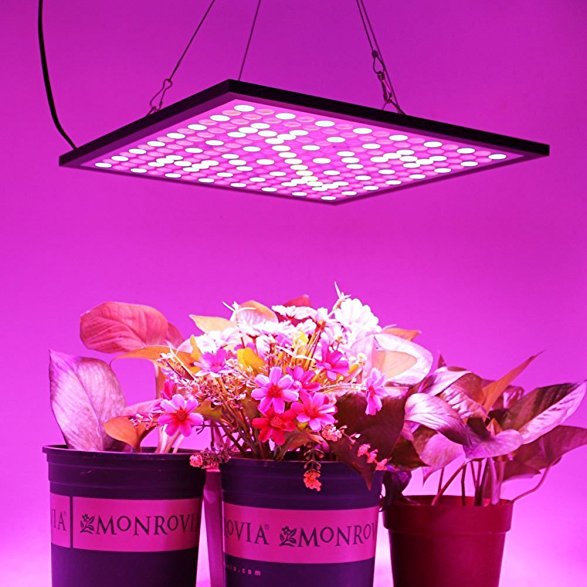 45W Led Plant Grow Lights, Indoor Hydroponics Grow Lamp with 225 Red Blue LEDs, Lightweight, Ultra-thin
