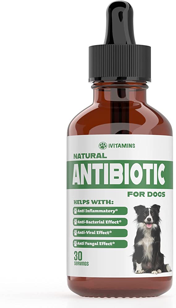 Natural Antibiotics for Dogs | Dog Antibiotics | Supports Dog Allergy Relief | Dog Itch Relief | Dog Allergy Support | Dog Multivitamin | Pet Antibiotics | Dog Antibiotic | 1 Pack: Bacon Flavor