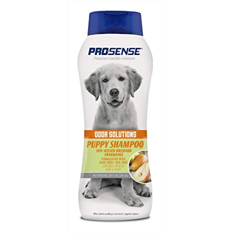 ProSense P-87062 20 oz Puppy Shampoo Sun Kissed Orchard