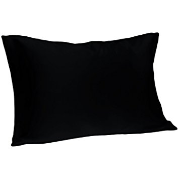 Spasilk 100-Percent Pure Silk Facial Beauty Pillowcase, Standard/Queen, Black